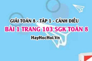 Giải bài 1 trang 103 Toán 8 Tập 1 SGK Cánh Diều